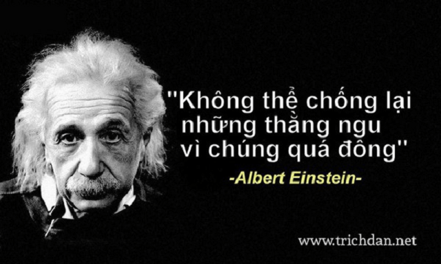 không thể chống lại những thằng ngu vì chúng quá đông