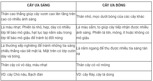 Nêu sự khác nhau giữa thực vật ưa sáng và ưa bóng