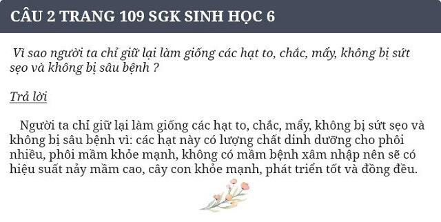 Vì sao người ta chỉ giữ lại làm giống các hạt to chắc mẩy không bị sứt sẹo và không bị sâu bệnh